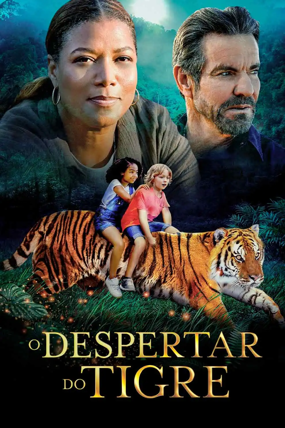 filme despertar do tigre